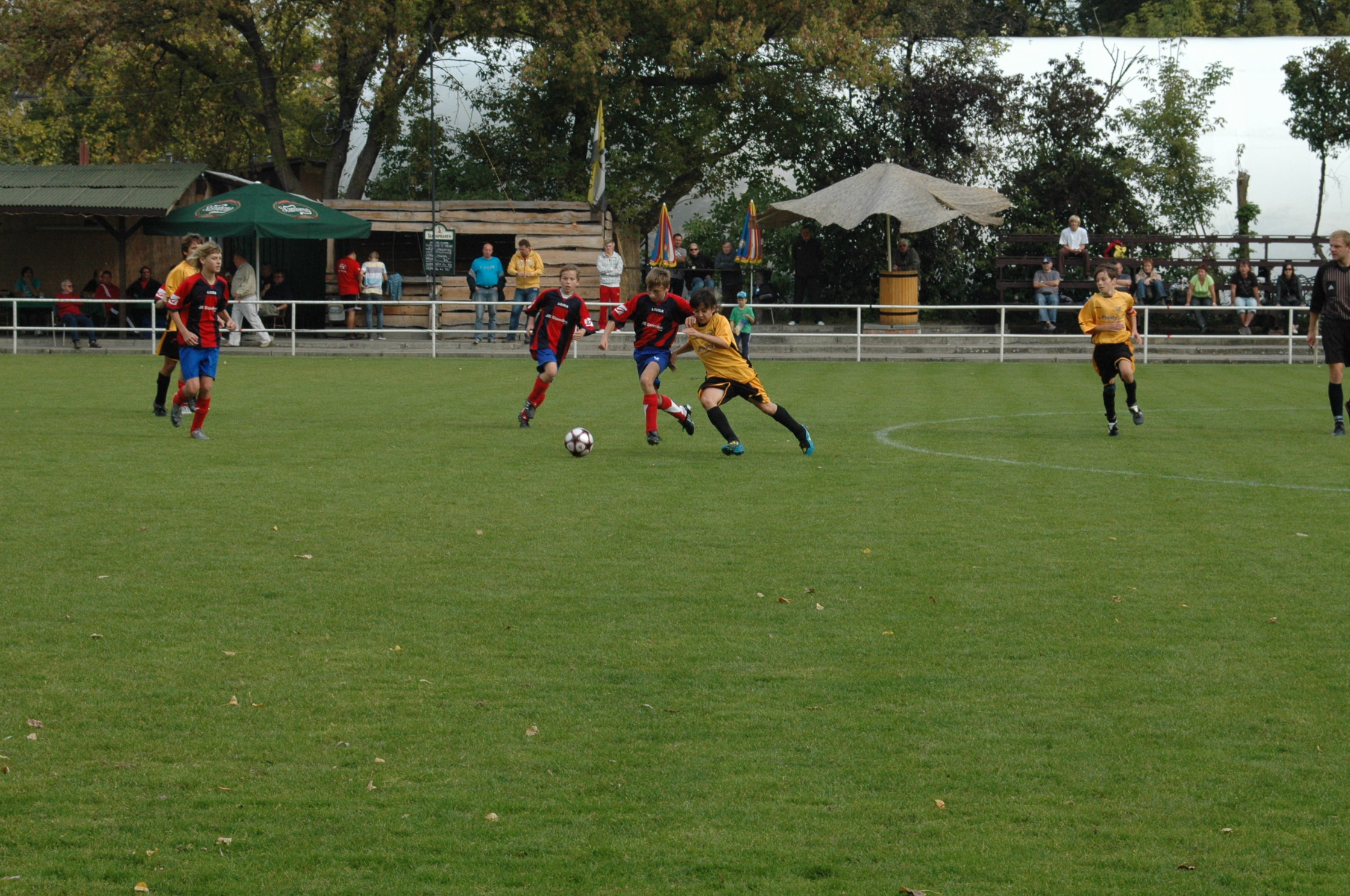 DSC_2898.JPG