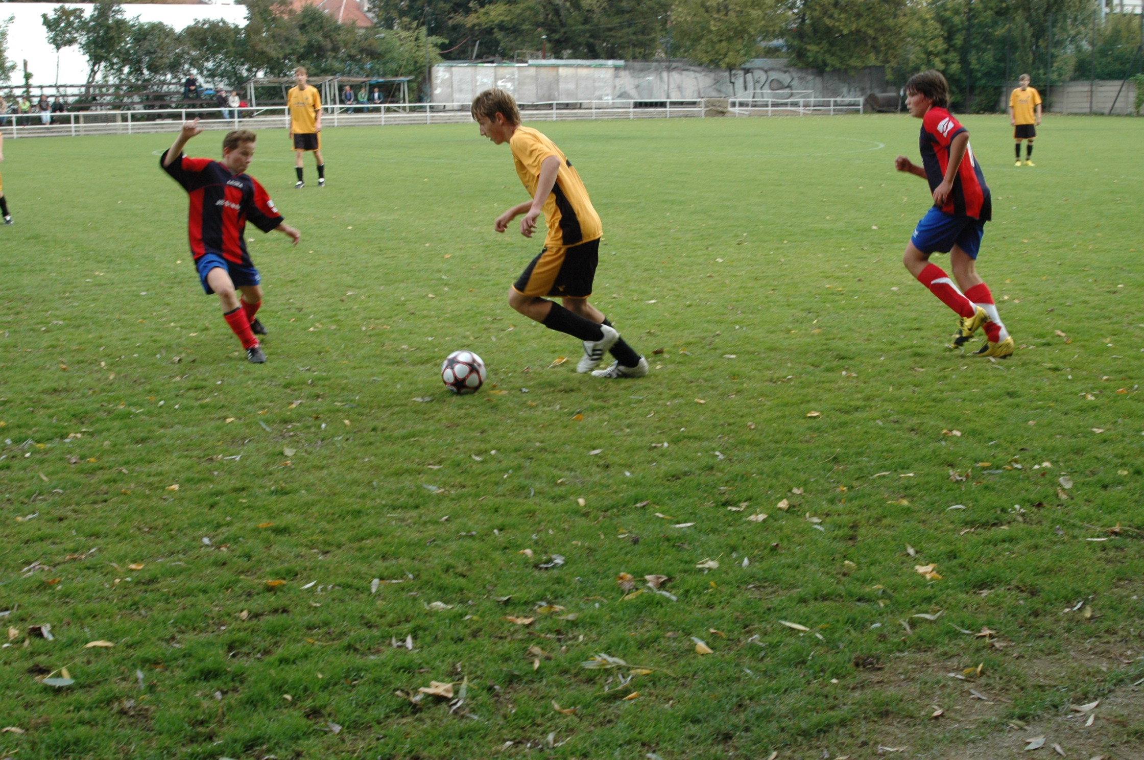 DSC_2907.JPG