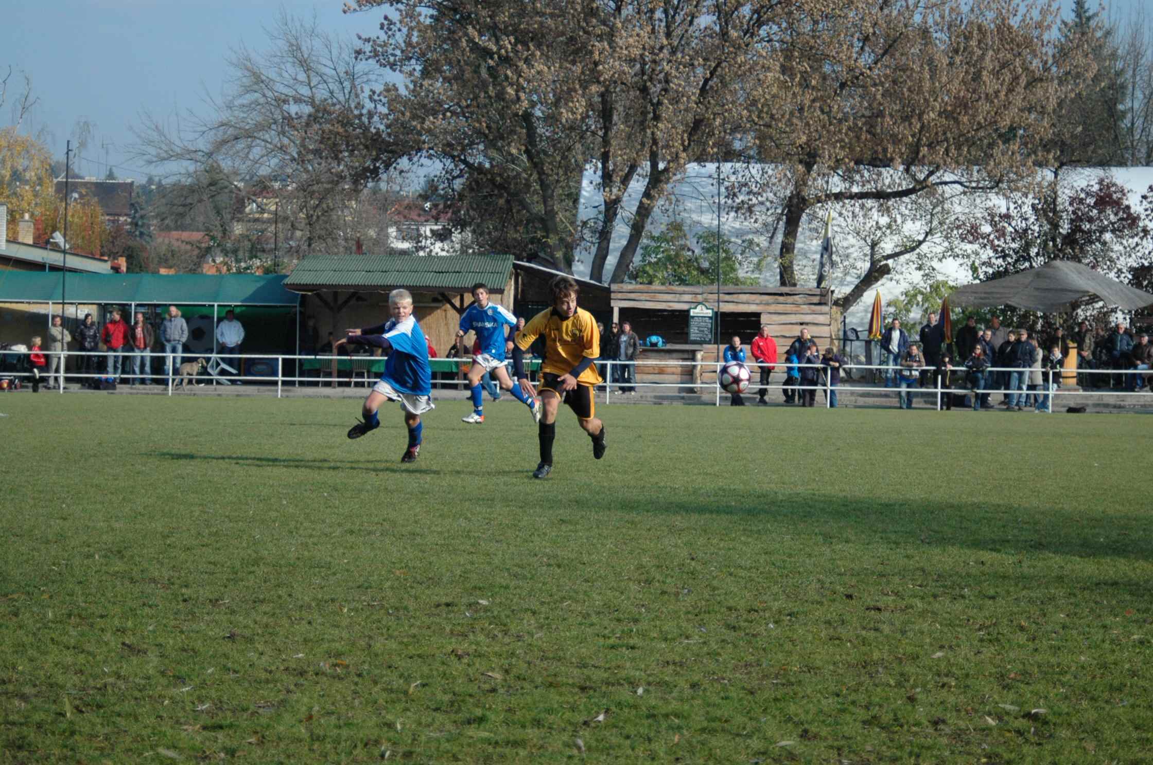 DSC_3013.jpg