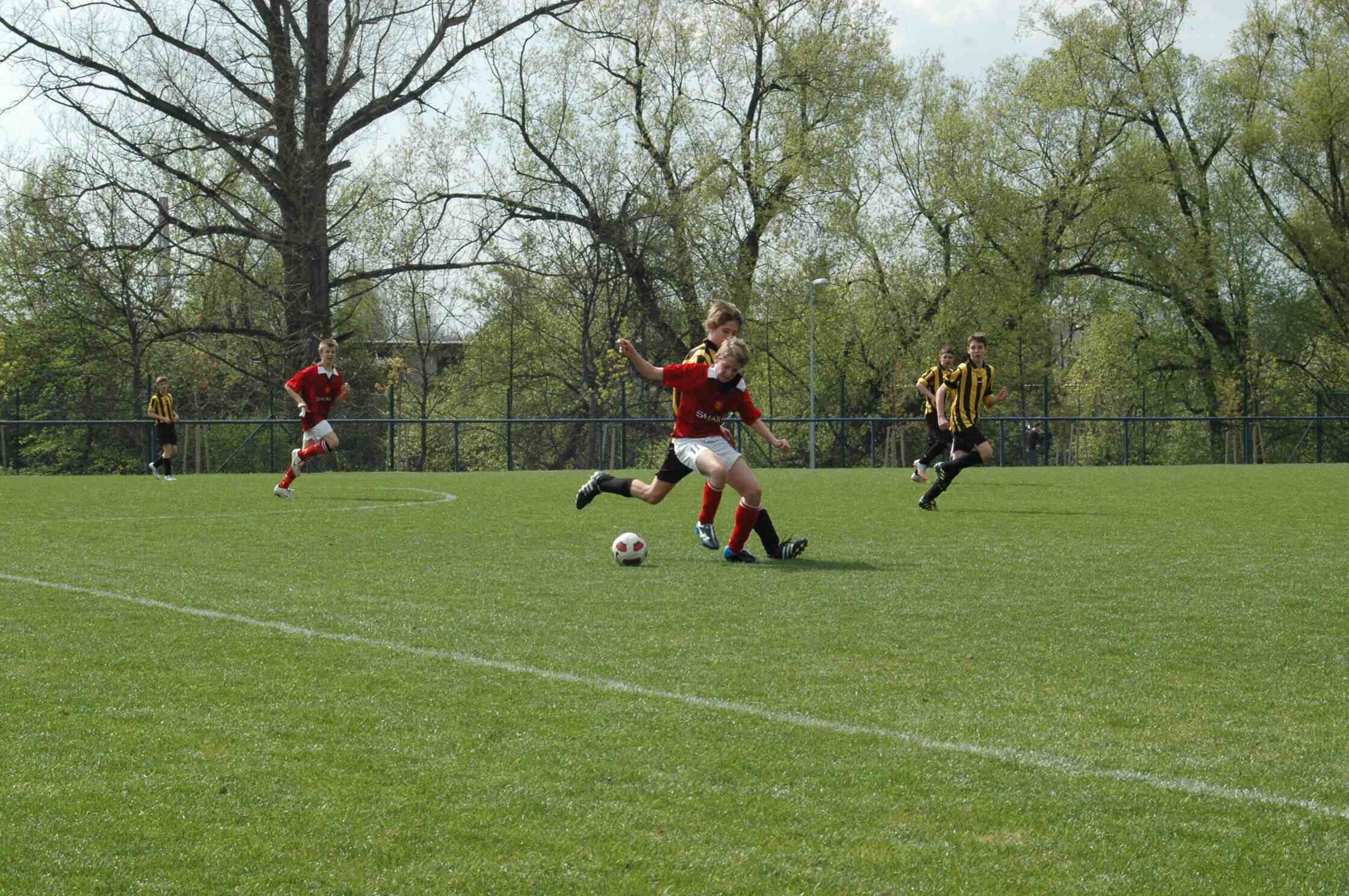 DSC_2952